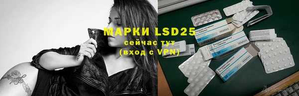 mdpv Горняк