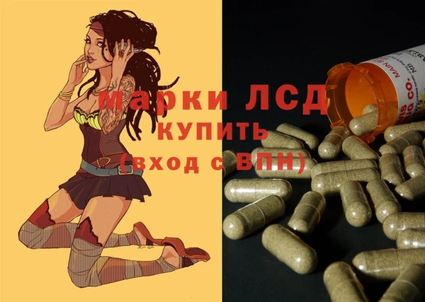 spice Горнозаводск