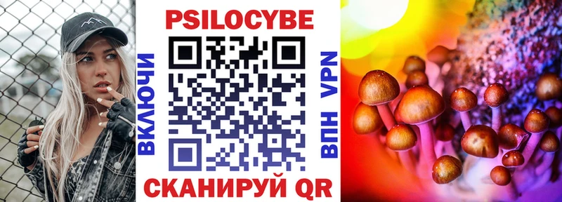 Купить где  Буинск  Псилоцибиновые грибы Cubensis 